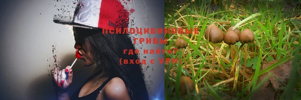 jwh Елабуга