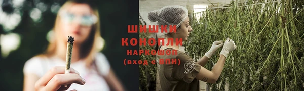 крисы Елизово