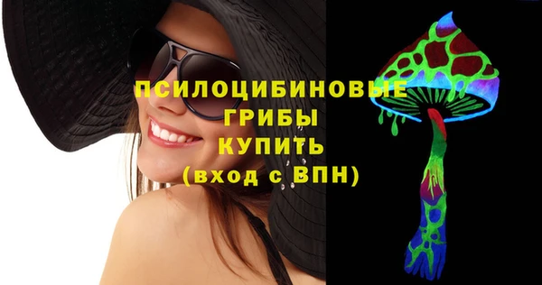 кокс Ельня
