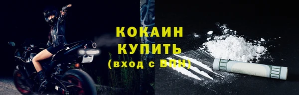 кокс Ельня