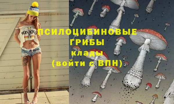 jwh Елабуга