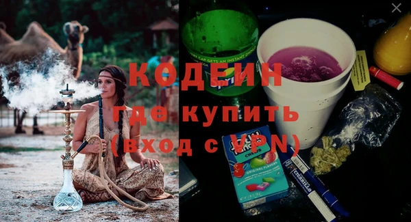 кокс Ельня