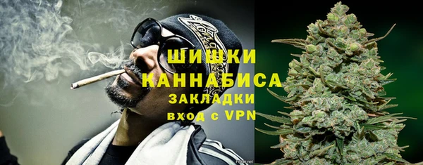 крисы Елизово
