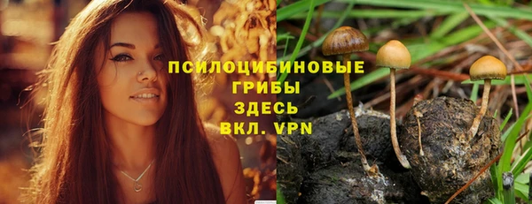 крисы Елизово