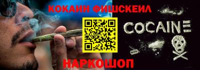соль ск Партизанск