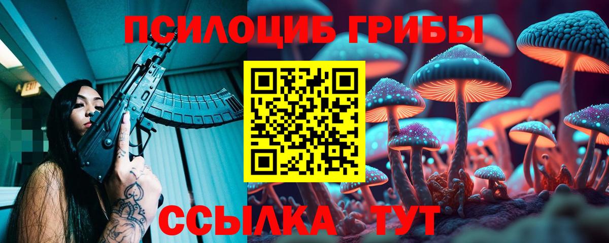 Галлюциногенные грибы GOLDEN TEACHER  Псилоцибиновые грибы Cubensis  Вход с VPN  Новочебоксарск 